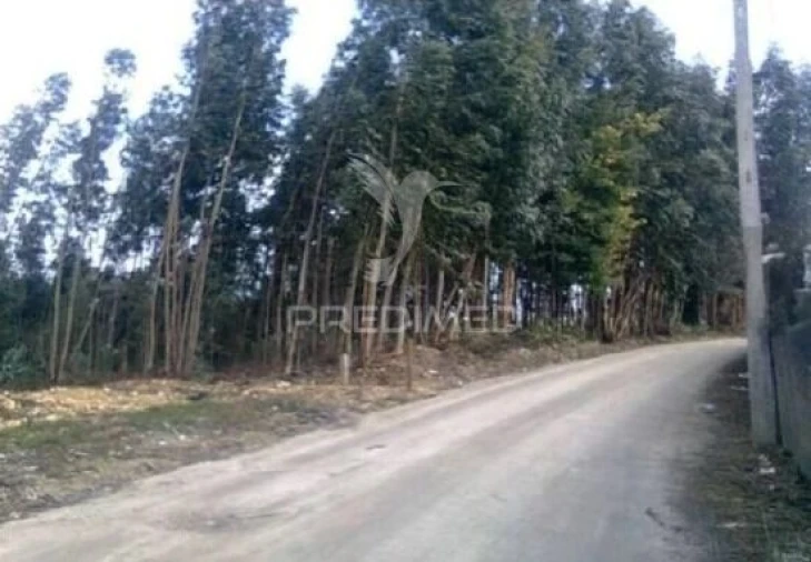 Terreno para Venda em Águeda e Borralha