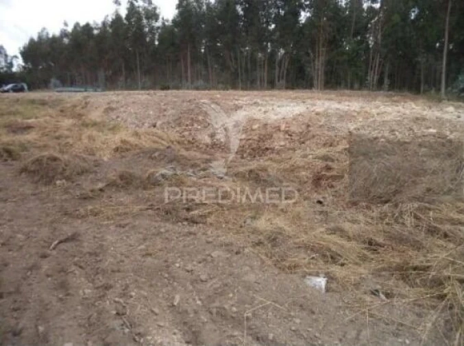 Terreno para Venda em Beduído e Veiros Foto 2