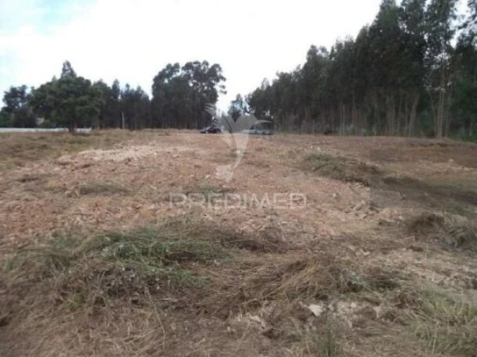 Terreno para Venda em Beduído e Veiros Foto 3