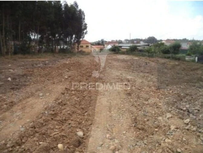 Terreno para Venda em Beduído e Veiros Foto 4