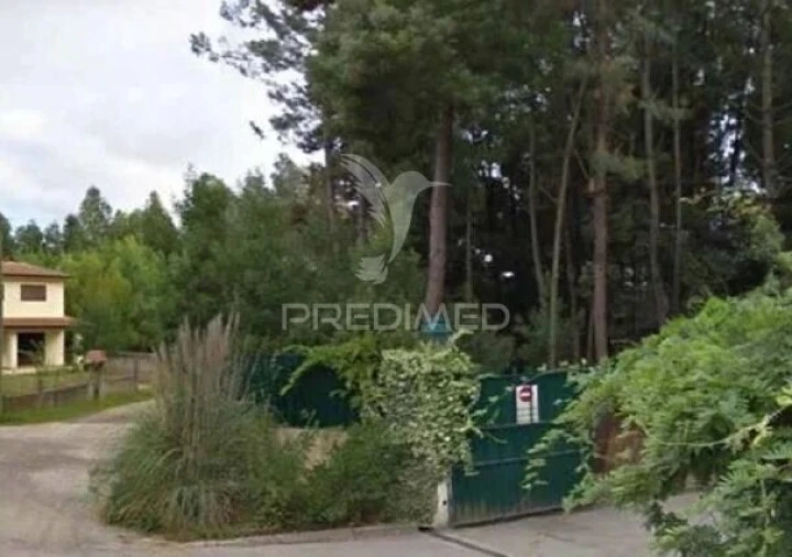 Terreno para Venda em Águeda e Borralha Foto 3