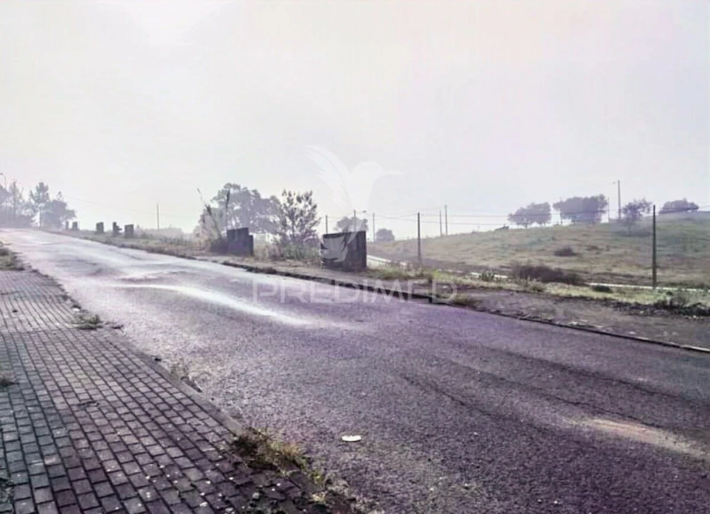 Terreno para Venda em Torres Novas (Santa Maria, Salvador e Santiago) Foto 2