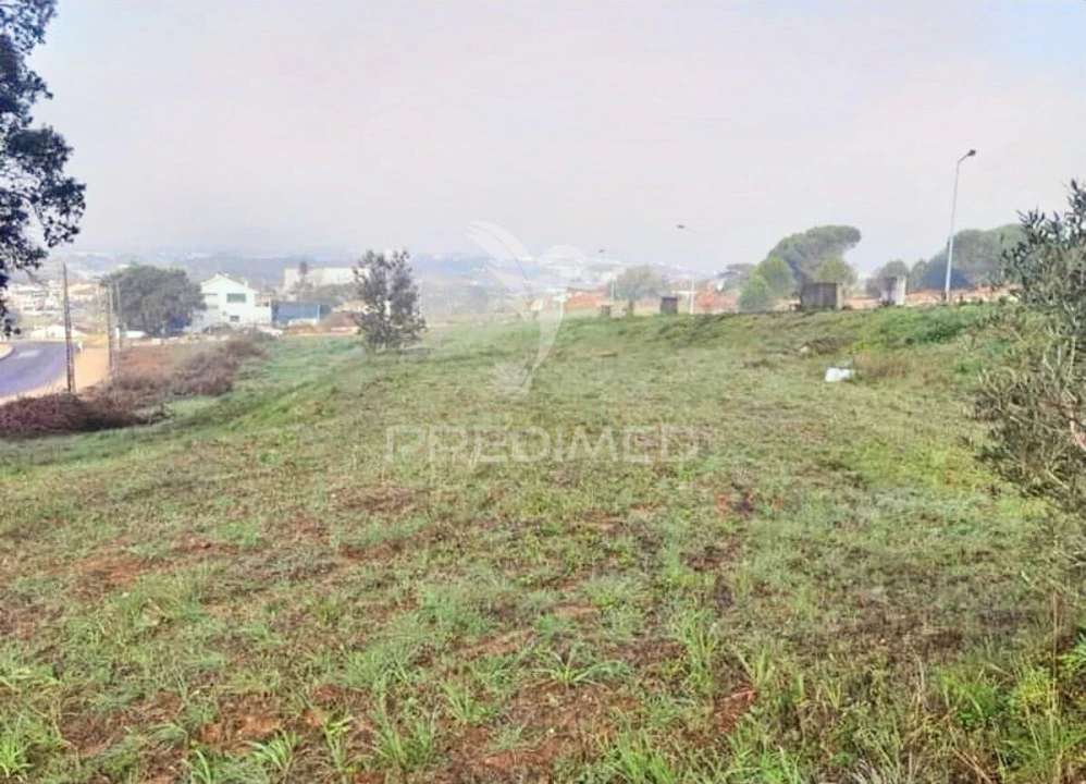 Terreno para Venda em Torres Novas (Santa Maria, Salvador e Santiago) Foto 12
