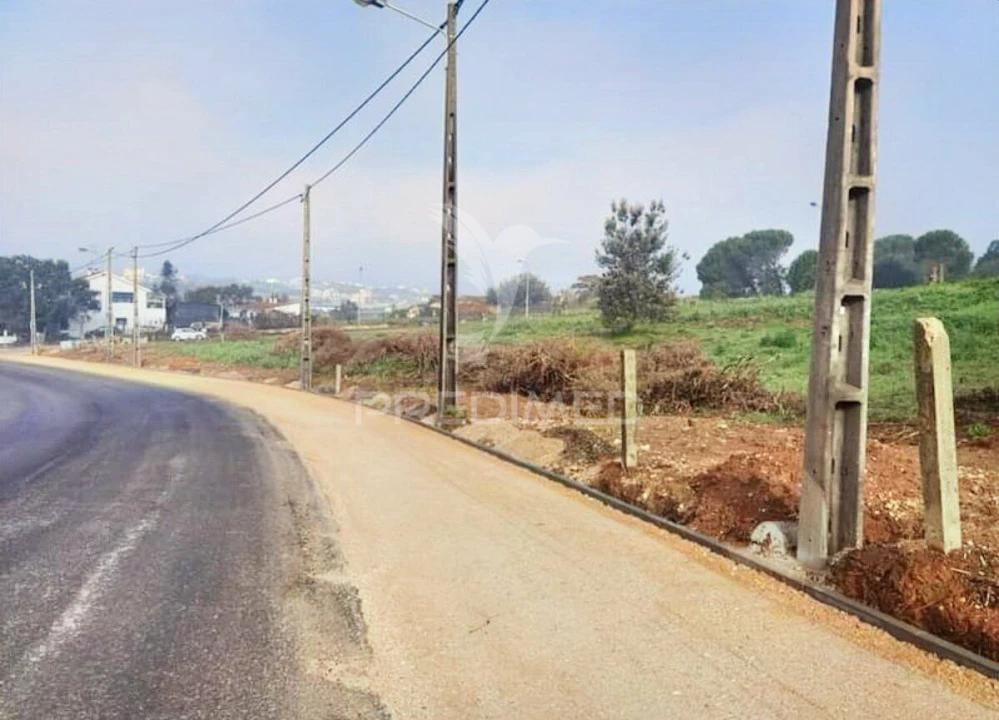 Terreno para Venda em Torres Novas (Santa Maria, Salvador e Santiago) Foto 11