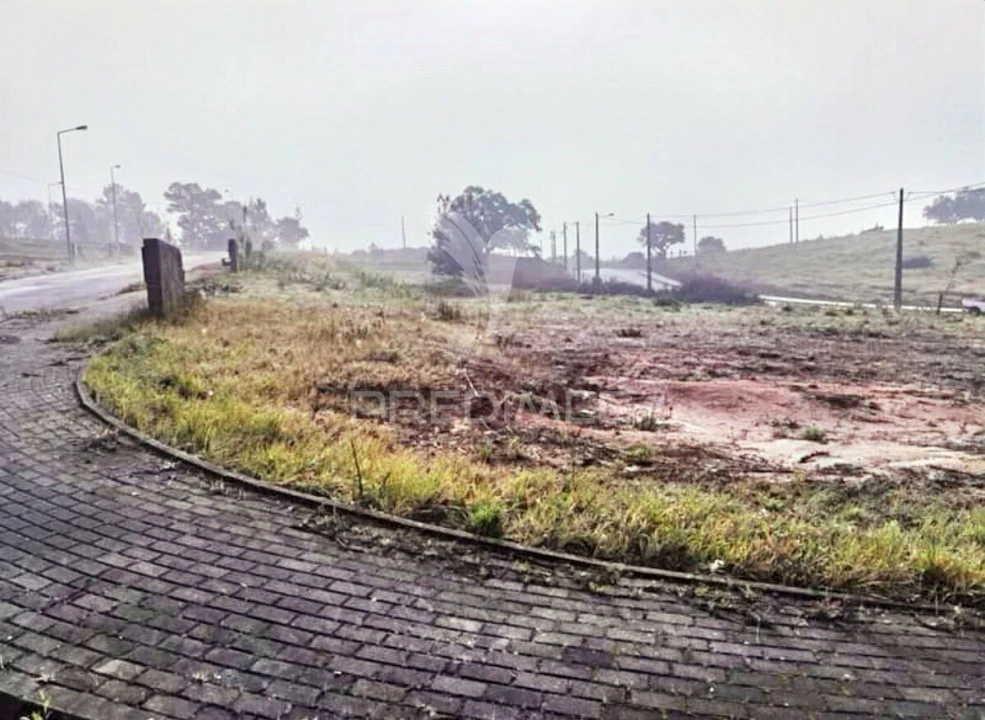 Terreno para Venda em Torres Novas (Santa Maria, Salvador e Santiago) Foto 3
