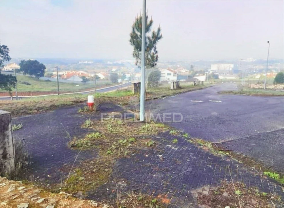 Terreno para Venda em Torres Novas (Santa Maria, Salvador e Santiago) Foto 14