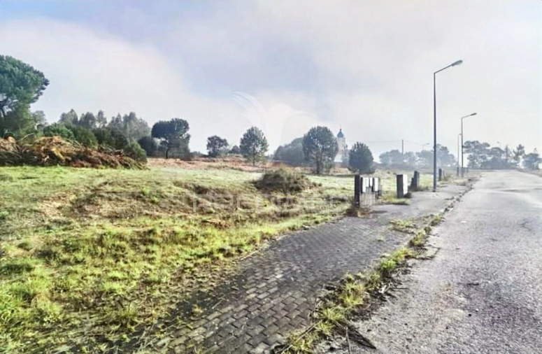 Terreno para Venda em Torres Novas (Santa Maria, Salvador e Santiago) Foto 20