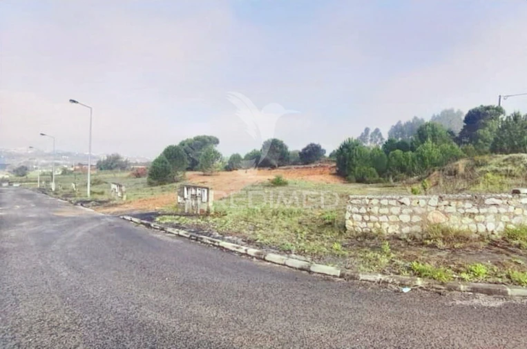 Terreno para Venda em Torres Novas (Santa Maria, Salvador e Santiago) Foto 17