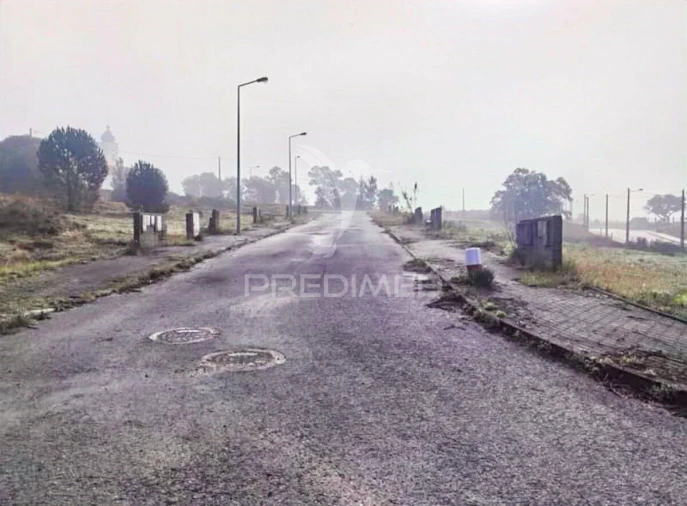 Terreno para Venda em Torres Novas (Santa Maria, Salvador e Santiago) Foto 4