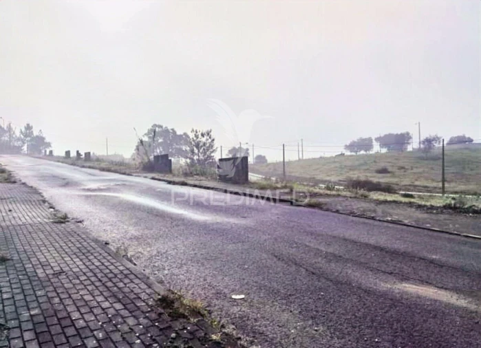 Terreno para Venda em Torres Novas (Santa Maria, Salvador e Santiago) Foto 2