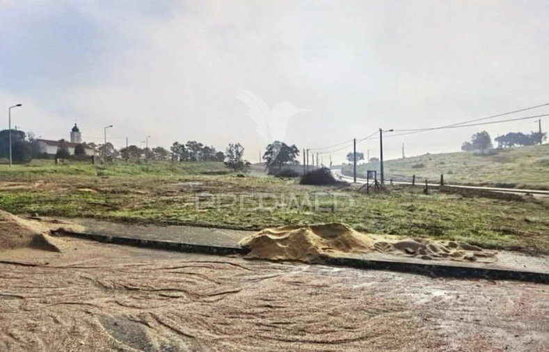 Terreno para Venda em Torres Novas (Santa Maria, Salvador e Santiago) Foto 1