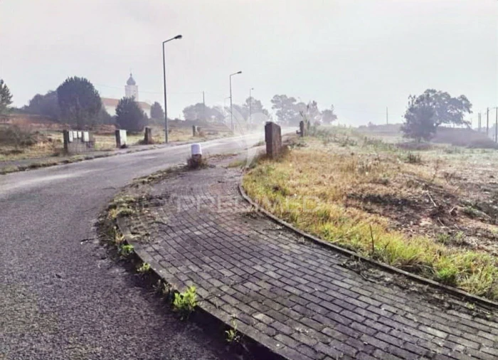 Terreno para Venda em Torres Novas (Santa Maria, Salvador e Santiago) Foto 5