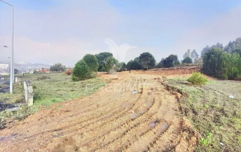 Terreno para Venda em Torres Novas (Santa Maria, Salvador e Santiago) Foto 19