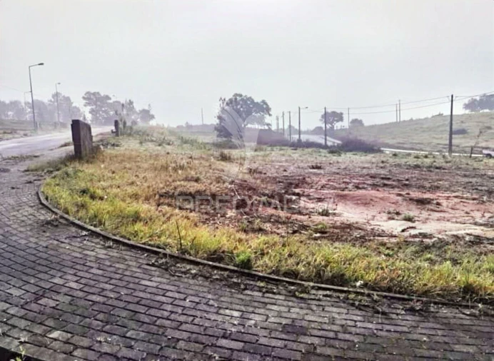 Terreno para Venda em Torres Novas (Santa Maria, Salvador e Santiago) Foto 3
