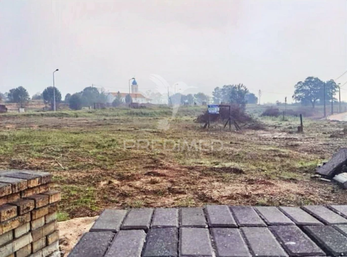 Terreno para Venda em Torres Novas (Santa Maria, Salvador e Santiago) Foto 9