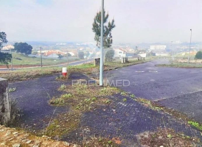 Terreno para Venda em Torres Novas (Santa Maria, Salvador e Santiago) Foto 14