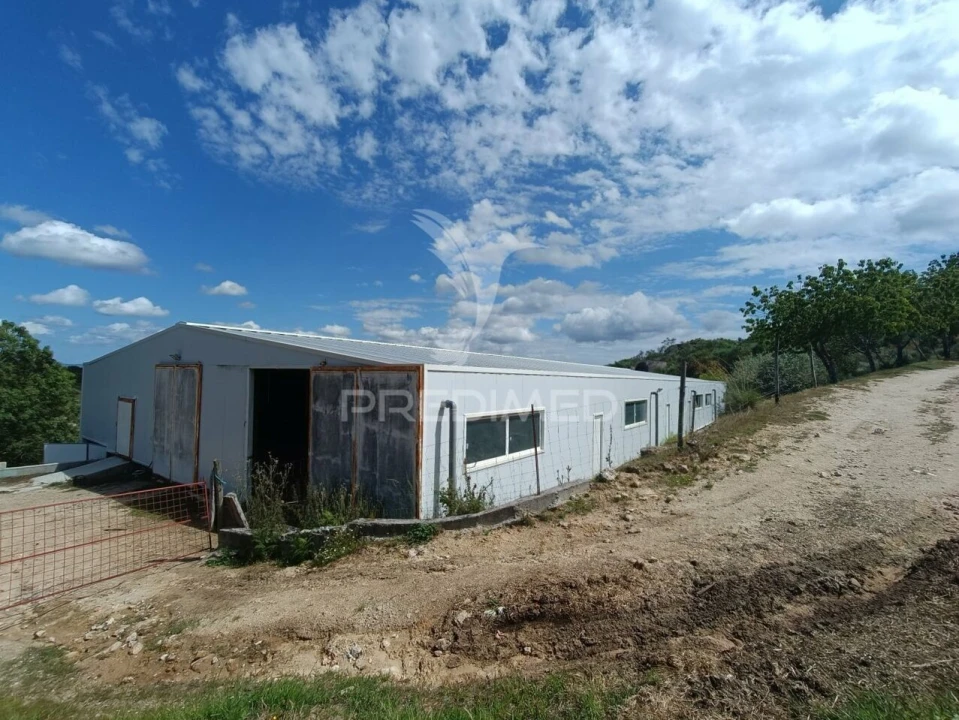 Quinta T0 para Venda em Trancoso (São Pedro e Santa Maria) e Souto Maior Foto 2