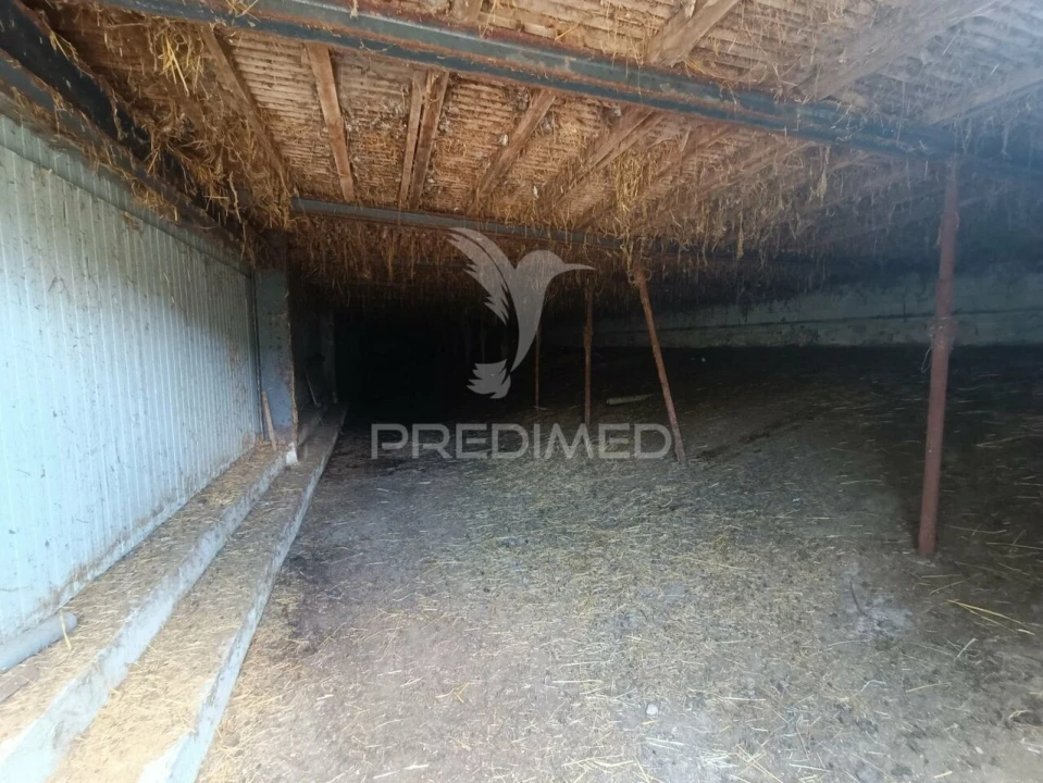 Quinta T0 para Venda em Trancoso (São Pedro e Santa Maria) e Souto Maior Foto 4