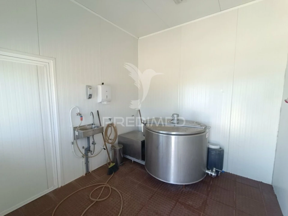 Quinta T0 para Venda em Trancoso (São Pedro e Santa Maria) e Souto Maior Foto 19