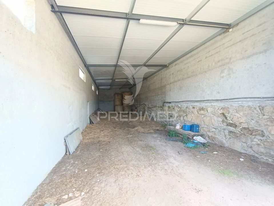 Quinta T0 para Venda em Trancoso (São Pedro e Santa Maria) e Souto Maior Foto 23