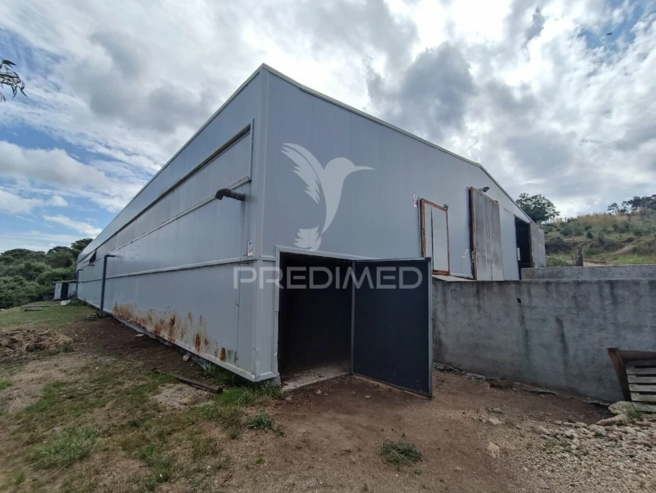 Quinta T0 para Venda em Trancoso (São Pedro e Santa Maria) e Souto Maior Foto 1