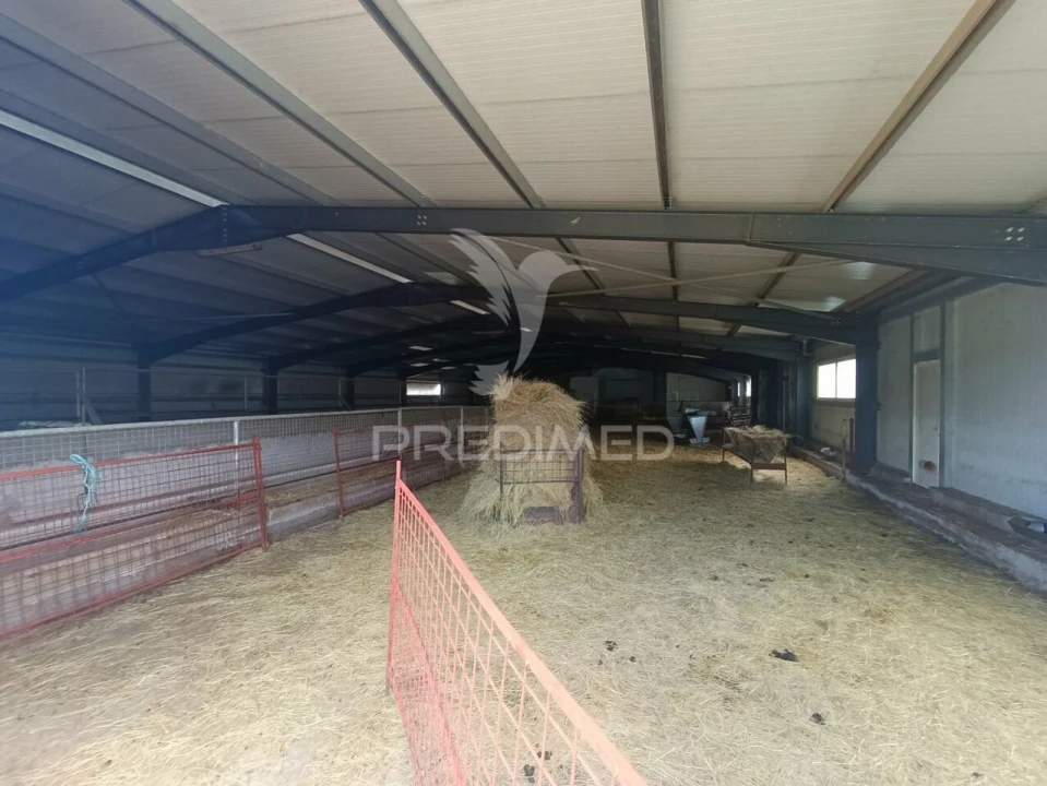 Quinta T0 para Venda em Trancoso (São Pedro e Santa Maria) e Souto Maior Foto 3