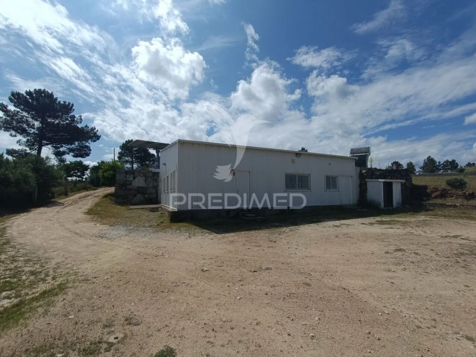 Quinta T0 para Venda em Trancoso (São Pedro e Santa Maria) e Souto Maior Foto 9
