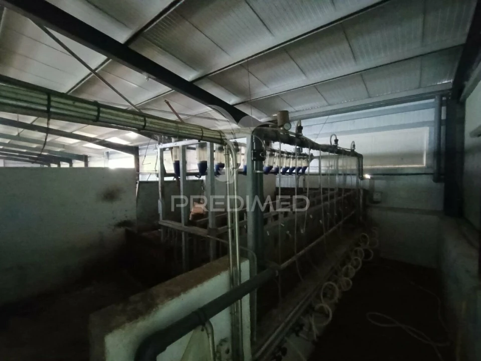 Quinta T0 para Venda em Trancoso (São Pedro e Santa Maria) e Souto Maior Foto 7