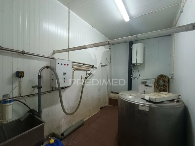 Quinta T0 para Venda em Trancoso (São Pedro e Santa Maria) e Souto Maior Foto 8