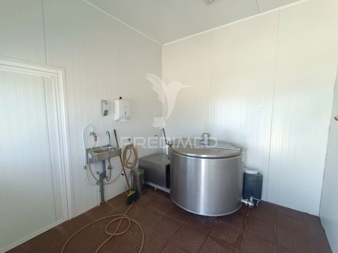 Quinta T0 para Venda em Trancoso (São Pedro e Santa Maria) e Souto Maior Foto 19