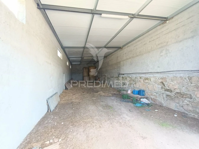 Quinta T0 para Venda em Trancoso (São Pedro e Santa Maria) e Souto Maior Foto 23