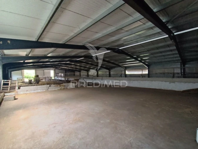 Quinta T0 para Venda em Trancoso (São Pedro e Santa Maria) e Souto Maior Foto 5