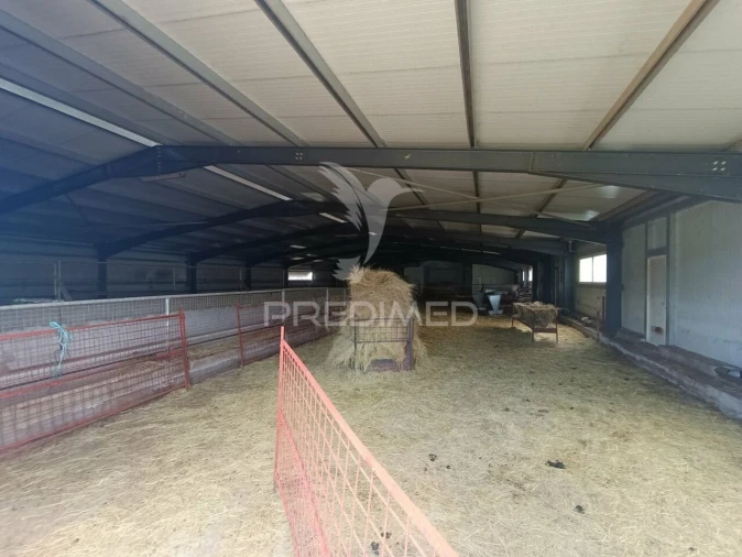 Quinta T0 para Venda em Trancoso (São Pedro e Santa Maria) e Souto Maior Foto 3