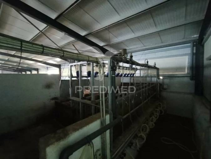 Quinta T0 para Venda em Trancoso (São Pedro e Santa Maria) e Souto Maior Foto 7