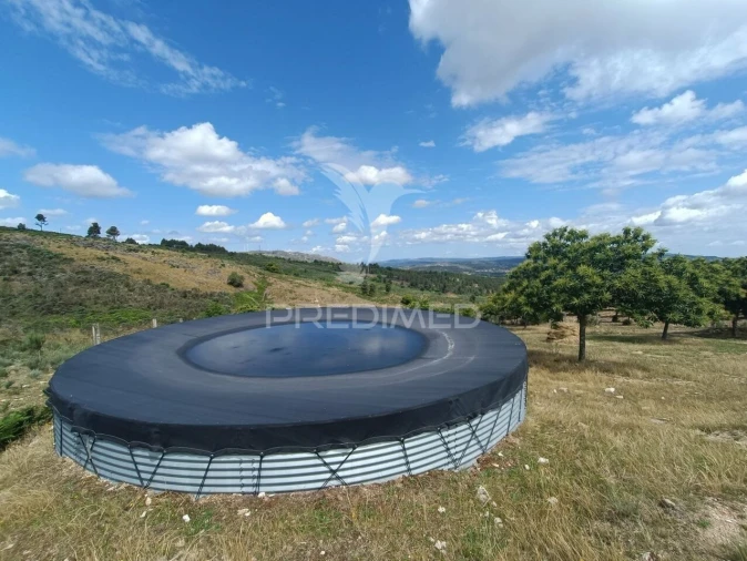 Quinta T0 para Venda em Trancoso (São Pedro e Santa Maria) e Souto Maior Foto 20