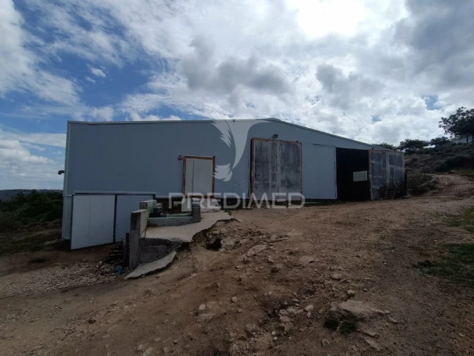 Quinta T0 para Venda em Trancoso (São Pedro e Santa Maria) e Souto Maior Foto 6