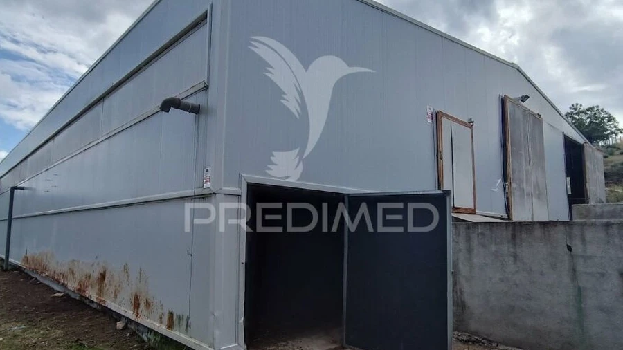 Quinta T0 para Venda em Trancoso (São Pedro e Santa Maria) e Souto Maior
