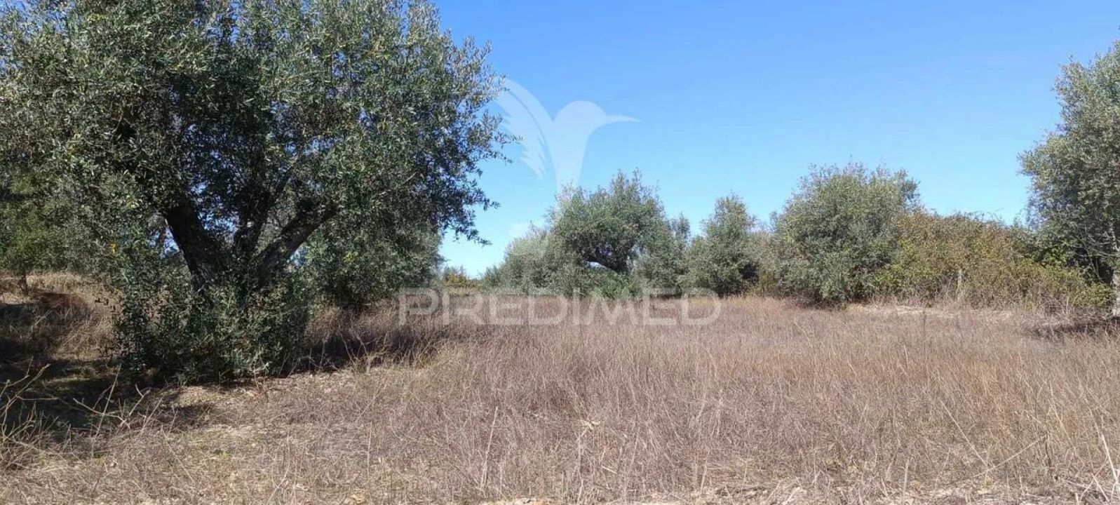 Terreno para Venda em Arez e Amieira do Tejo Foto 3