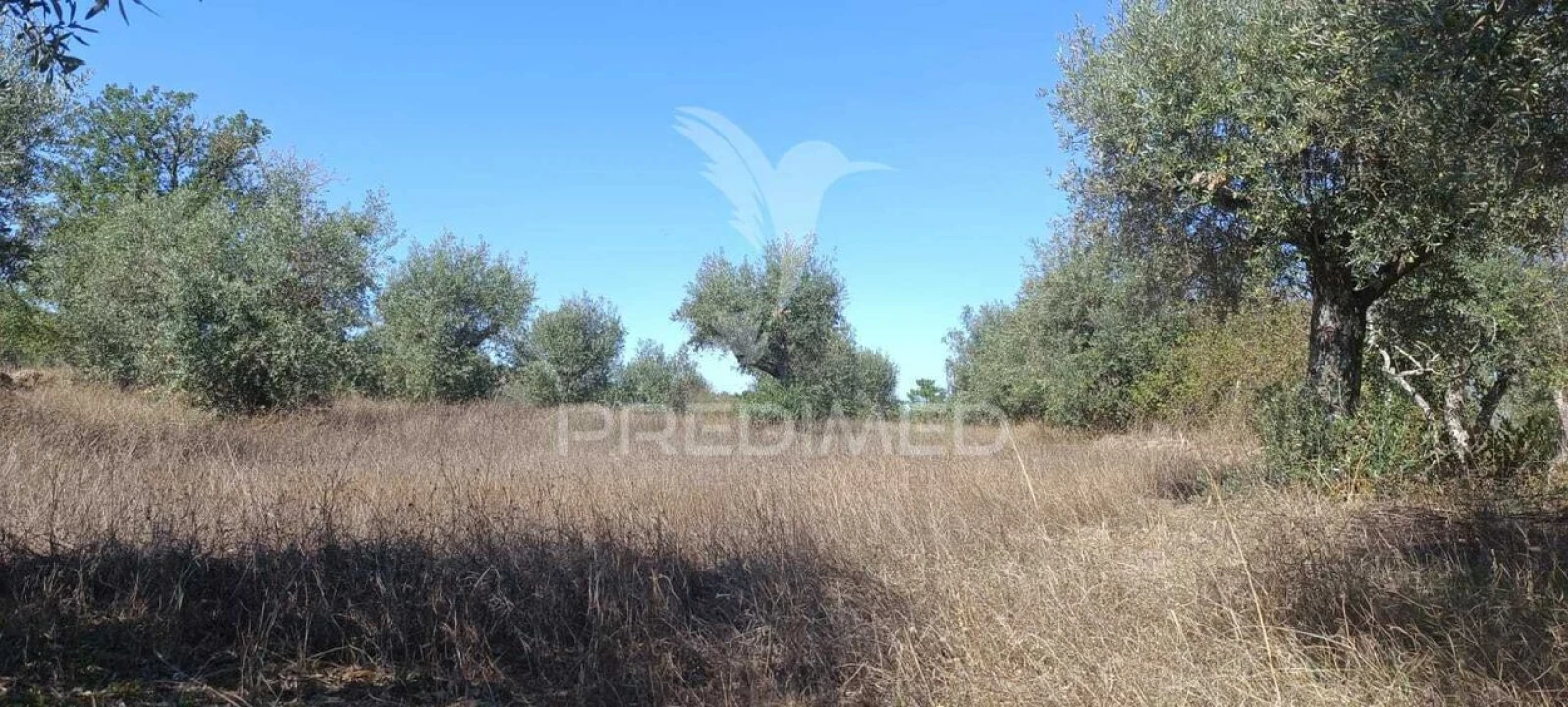 Terreno para Venda em Arez e Amieira do Tejo Foto 2