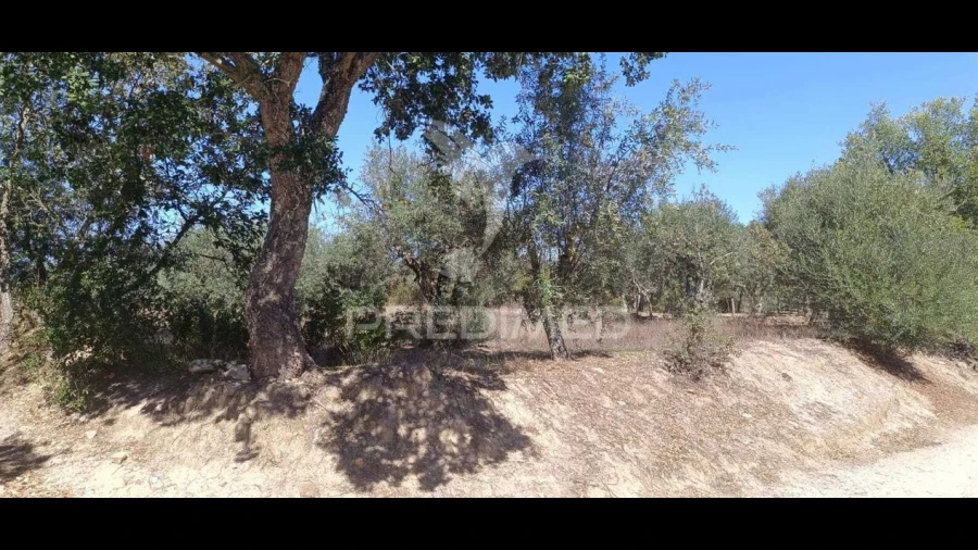 Terreno para Venda em Arez e Amieira do Tejo