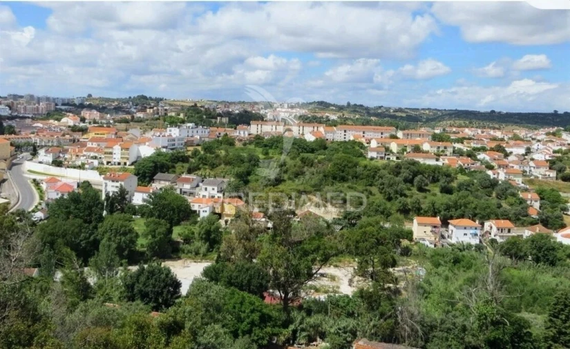 Terreno para Venda em Torres Novas (Santa Maria, Salvador e Santiago) Foto 18