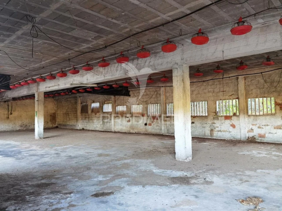 Armazém para Venda em São Vicente do Paul e Vale de Figueira Foto 17