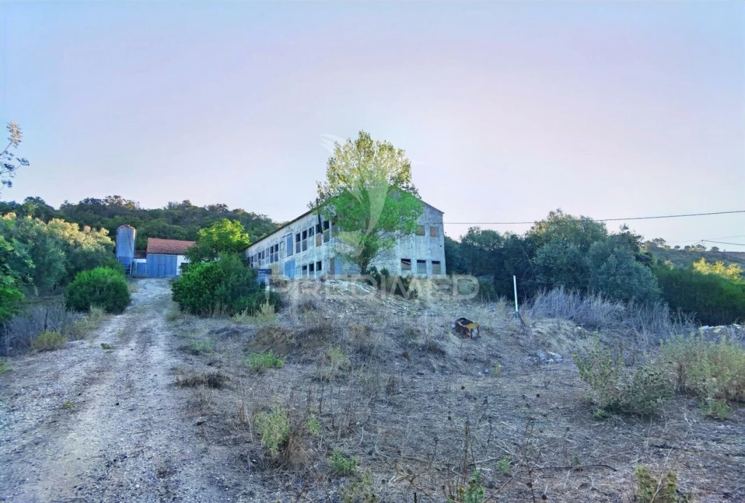 Armazém para Venda em São Vicente do Paul e Vale de Figueira Foto 13