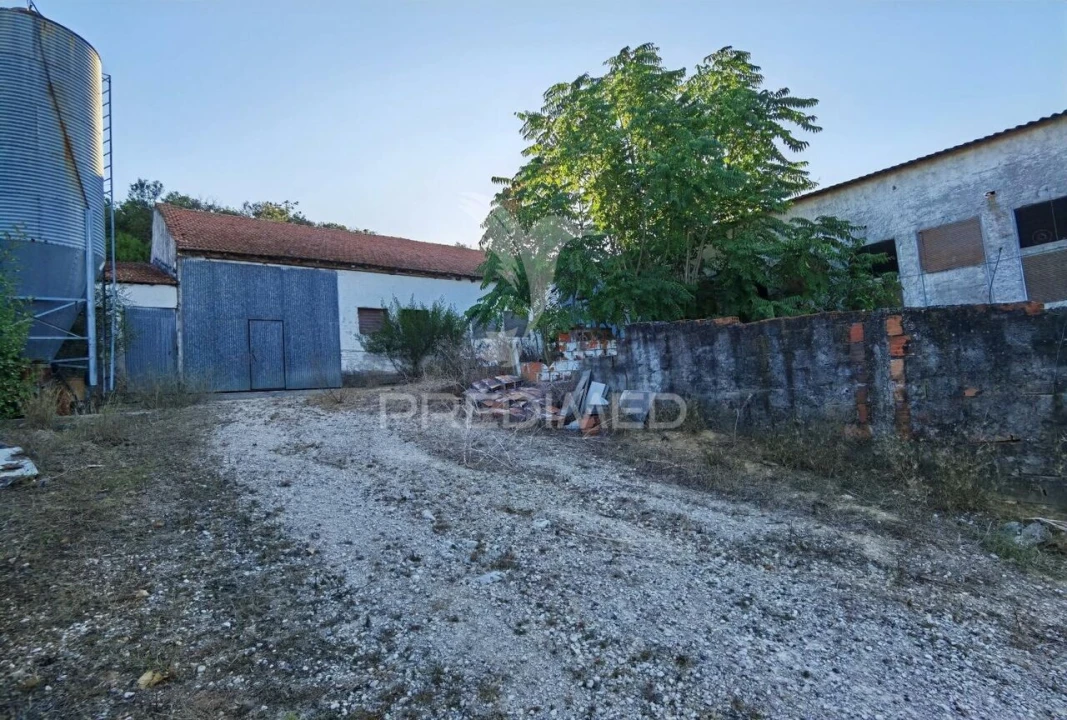 Armazém para Venda em São Vicente do Paul e Vale de Figueira Foto 23