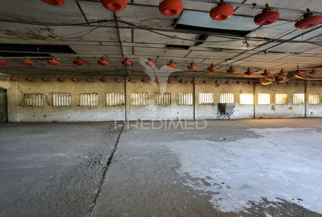 Armazém para Venda em São Vicente do Paul e Vale de Figueira Foto 27