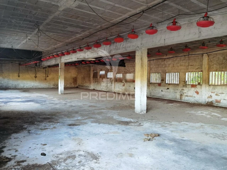 Armazém para Venda em São Vicente do Paul e Vale de Figueira Foto 21