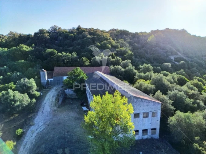 Armazém para Venda em São Vicente do Paul e Vale de Figueira Foto 1
