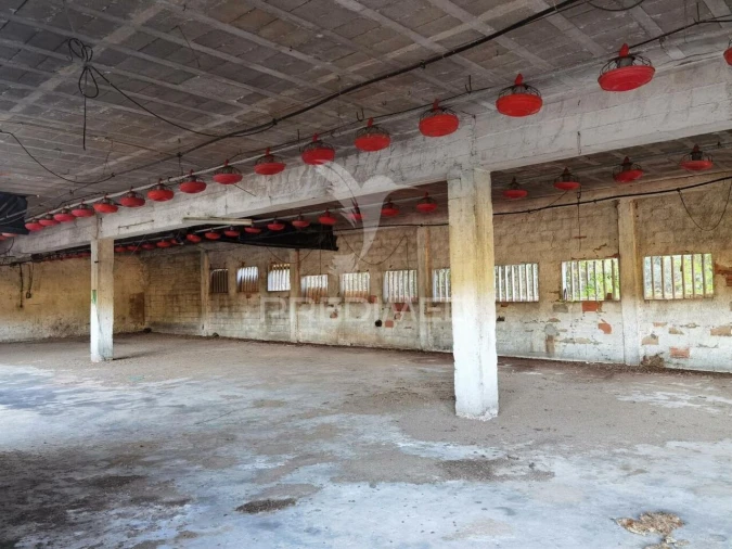 Armazém para Venda em São Vicente do Paul e Vale de Figueira Foto 17