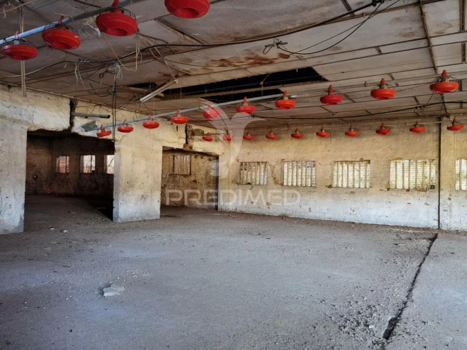 Armazém para Venda em São Vicente do Paul e Vale de Figueira Foto 26