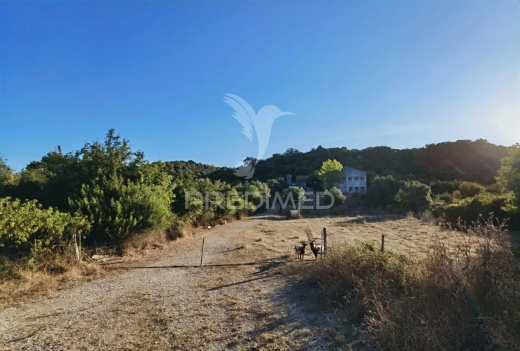 Armazém para Venda em São Vicente do Paul e Vale de Figueira Foto 12